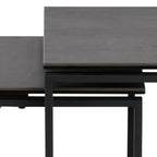 Katrine Coffee Table Set