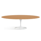 Oval Laminate Tulip Table